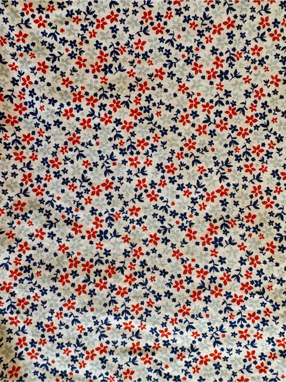 Bonobos Riviera Slim L - Picture 2 of 4